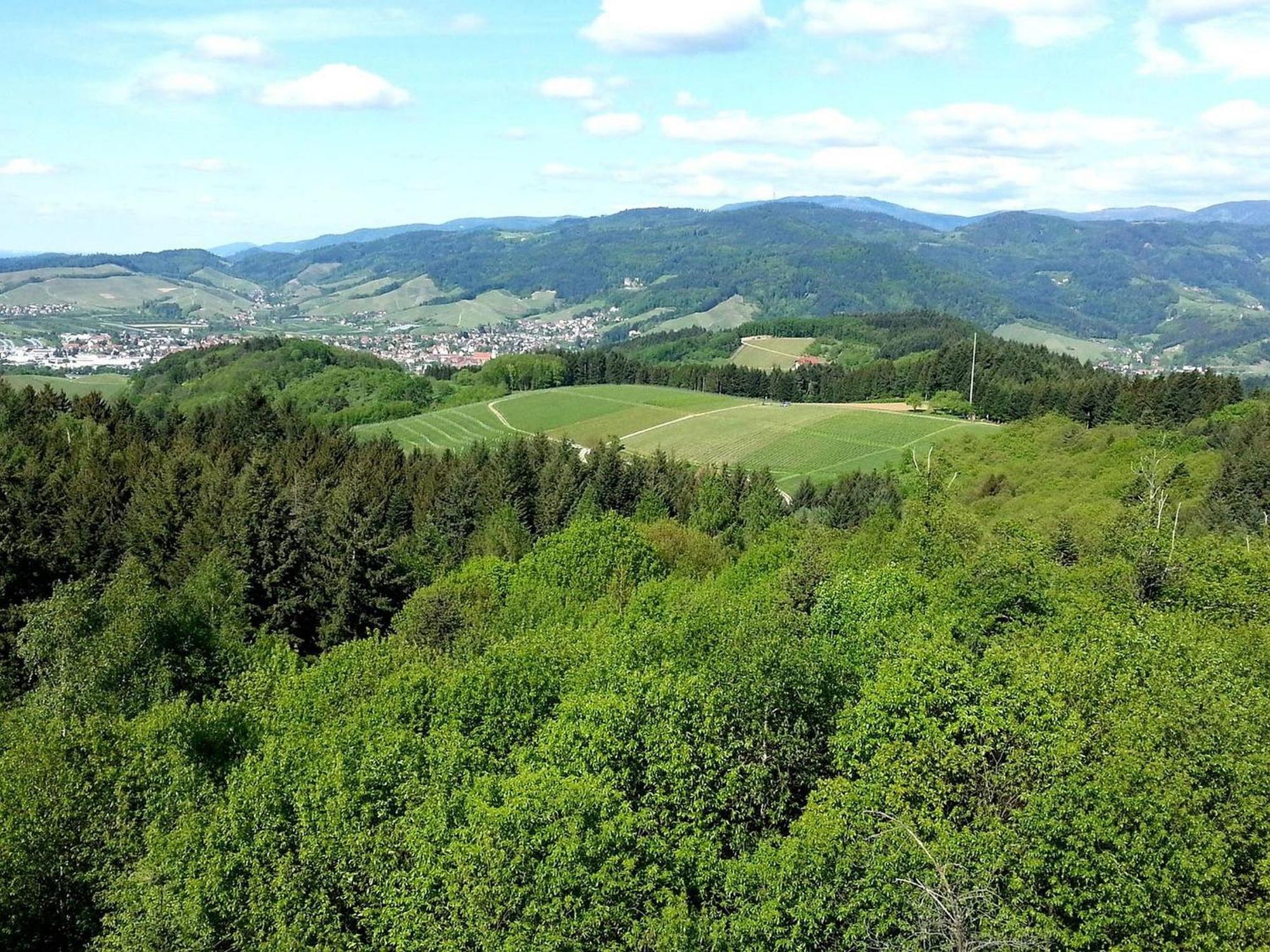 Ferienhof Vordere Alm Оберкирх Экстерьер фото